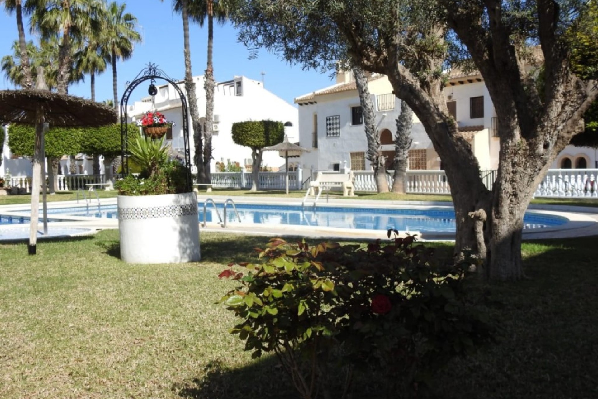 Återförsäljning - Bungalow - Ciudad quesada - Costa Blanca