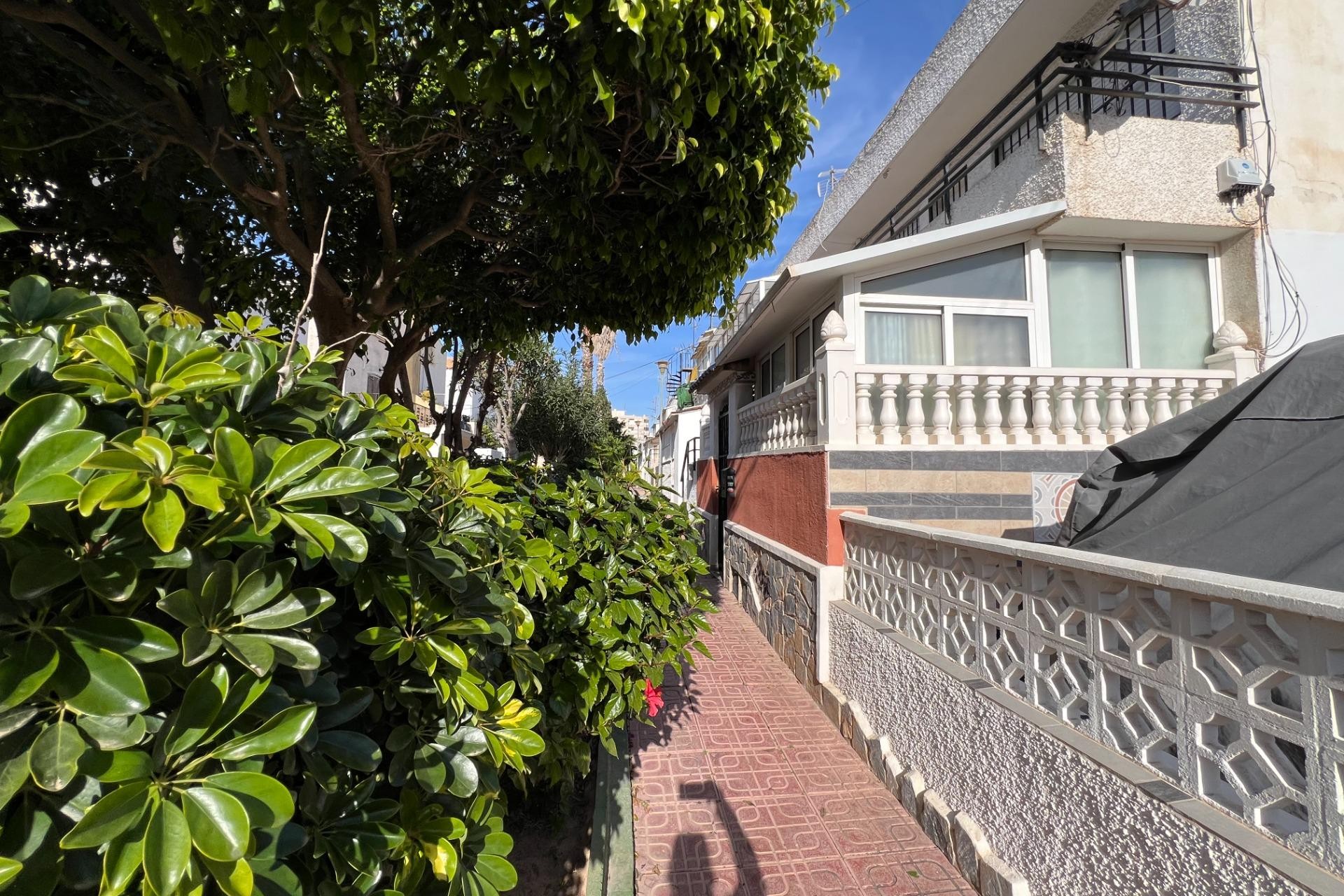 Återförsäljning - Bungalow - Torrevieja - Calas Blanca