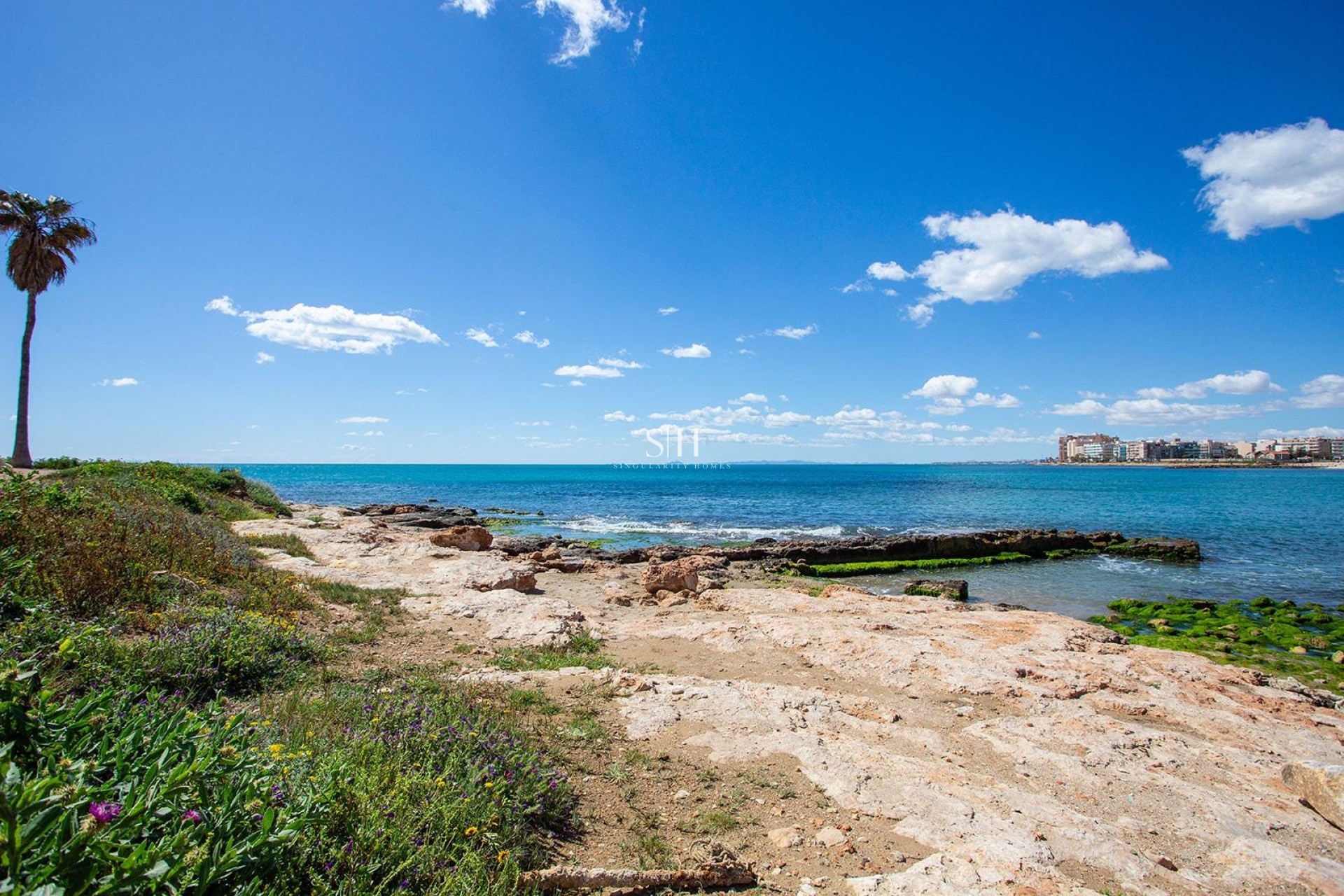 Återförsäljning - Bungalow - Torrevieja - Centro