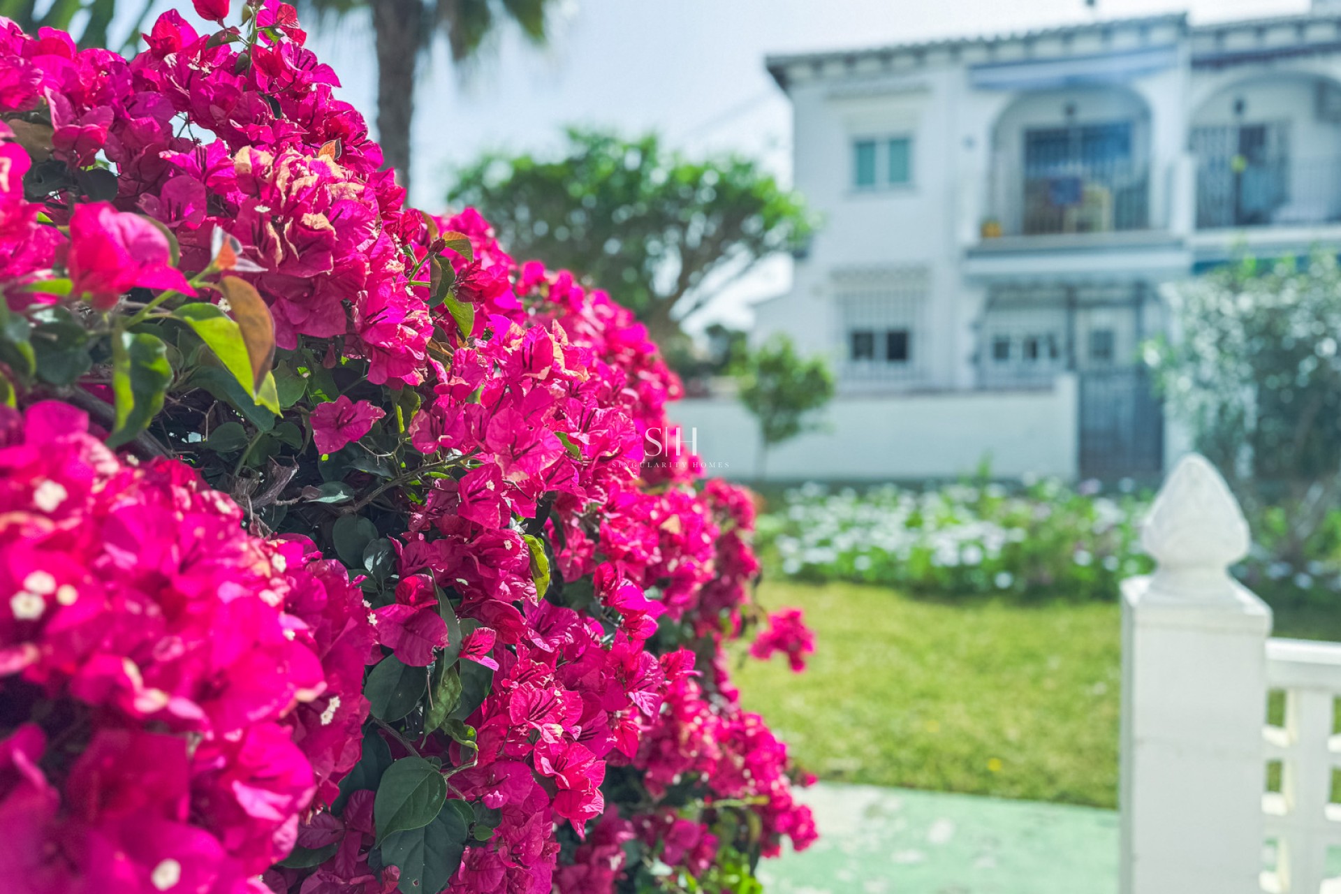 Återförsäljning - Bungalow - Torrevieja - Lago Jardin