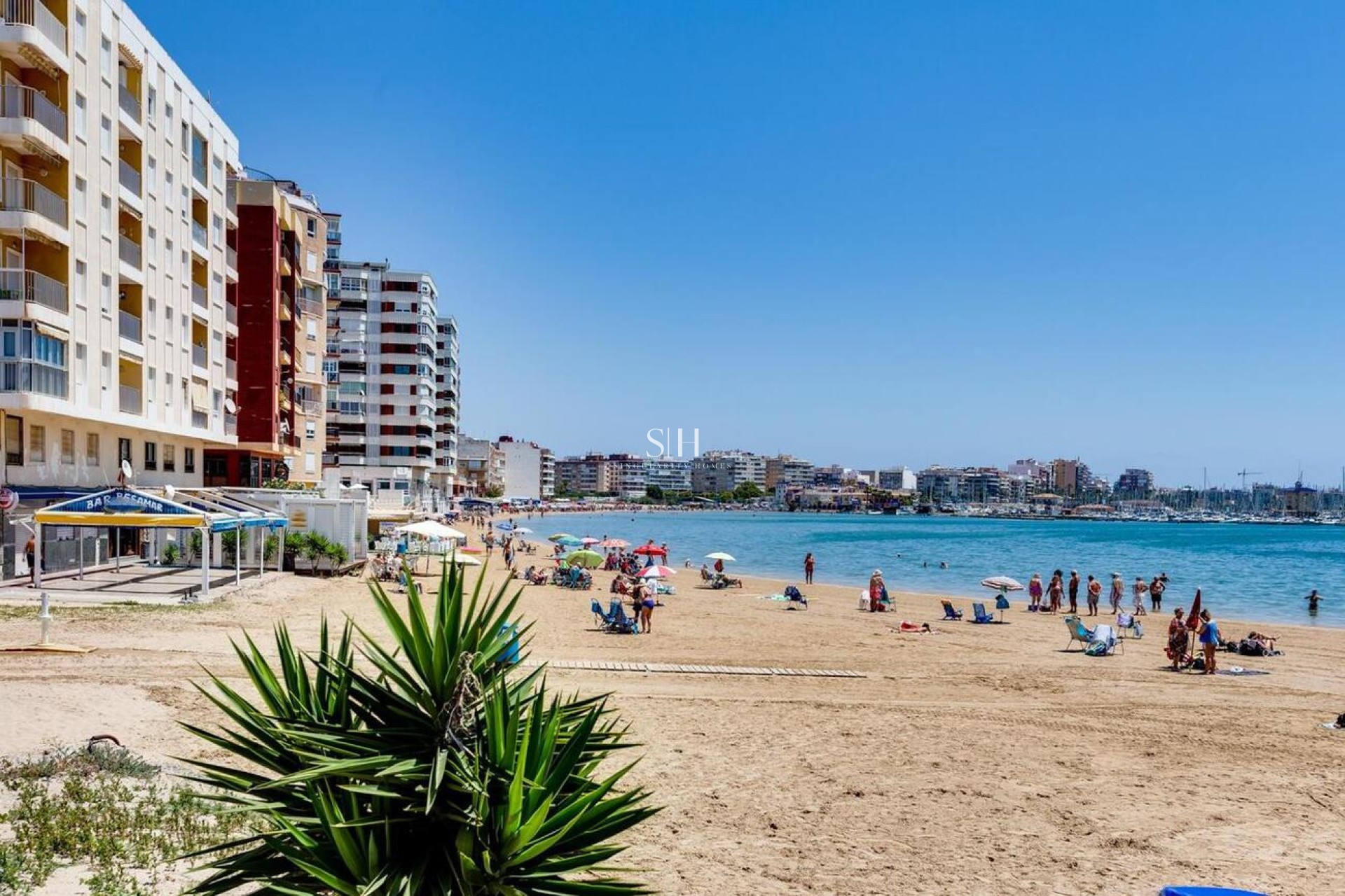 Återförsäljning - Bungalow - Torrevieja - PARQUE DE LAS NACIONES