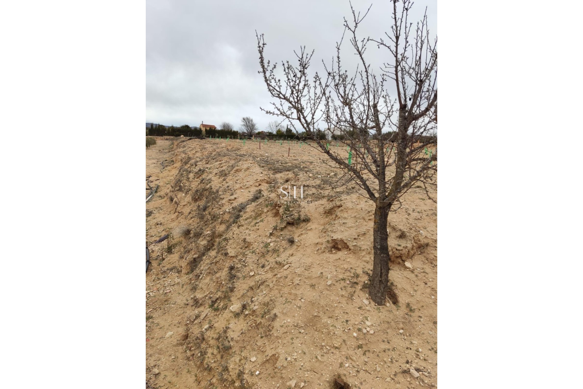 Återförsäljning - Country land - Villena - Cabanes Y Las Fuentes