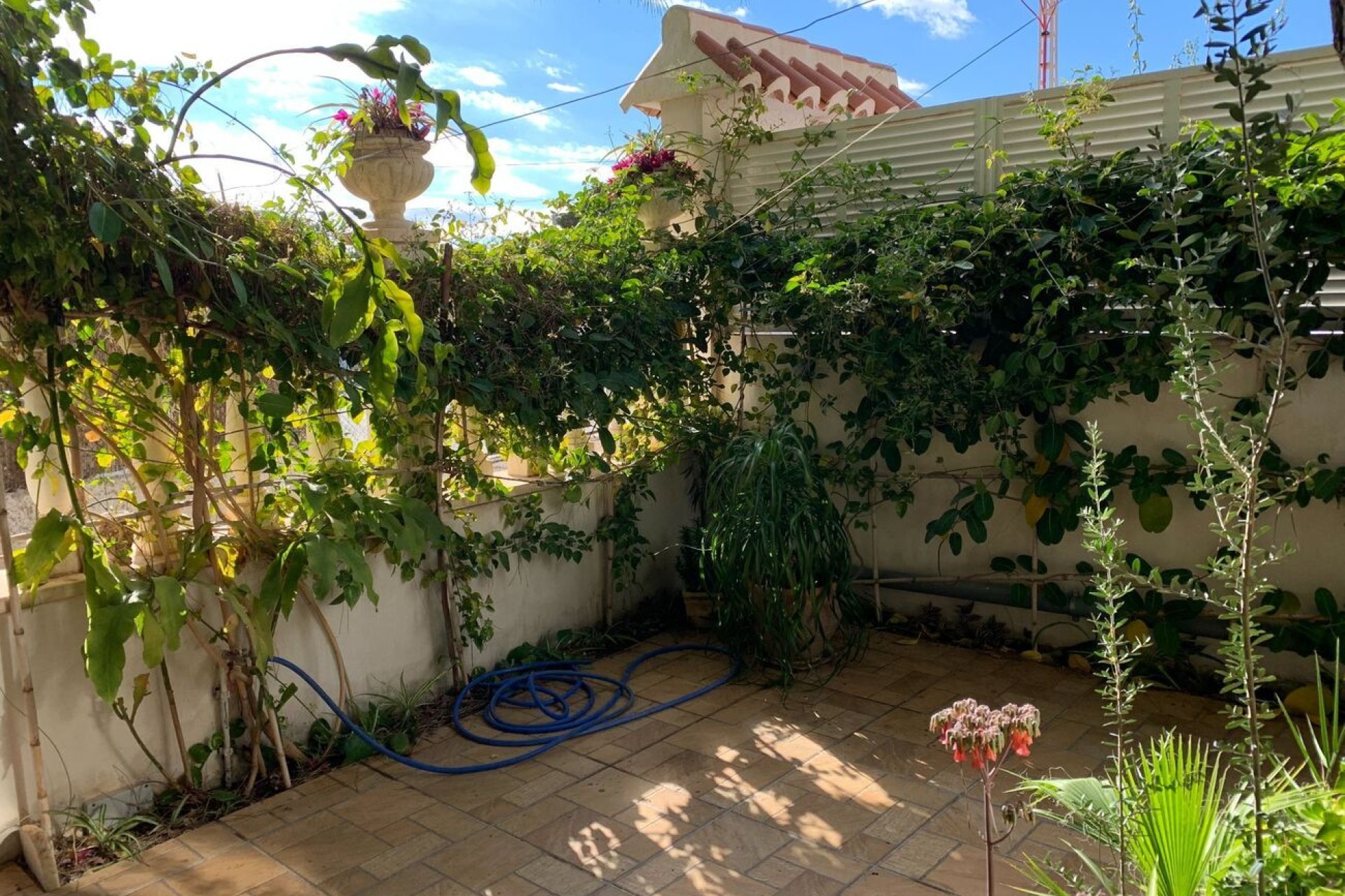 Återförsäljning - Duplex - La Zenia - Costa Blanca