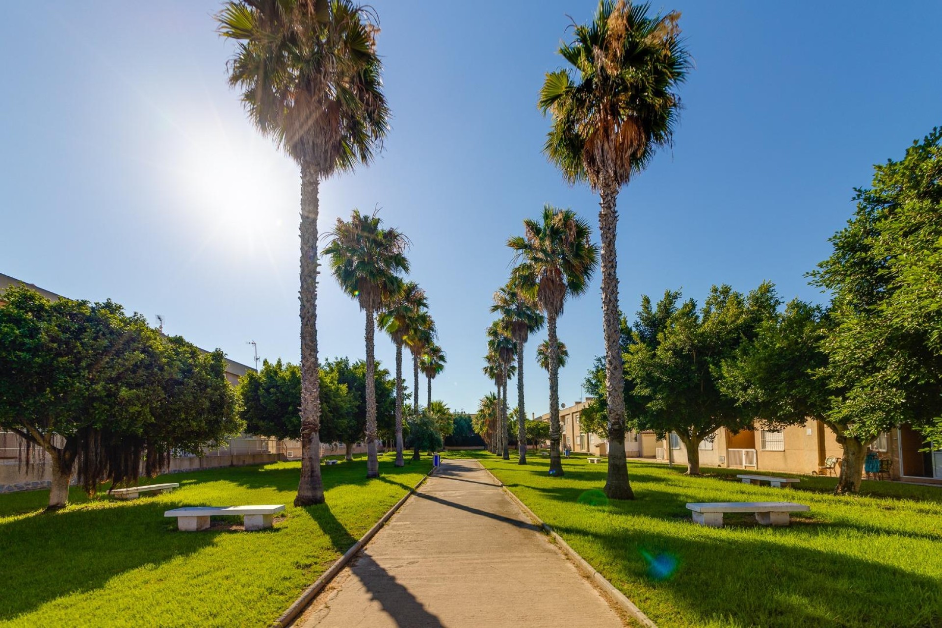 Återförsäljning - Duplex - Torrevieja - Aguas Nuevas 2