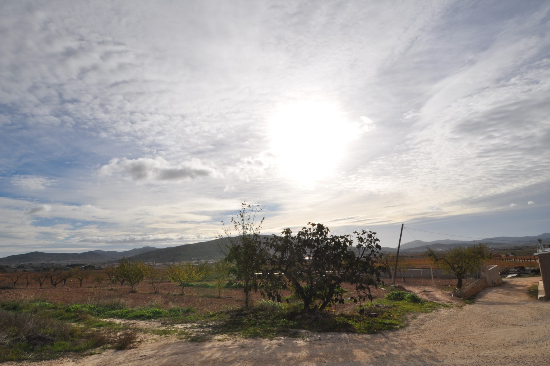 Återförsäljning - Finca - Pinoso - Inland