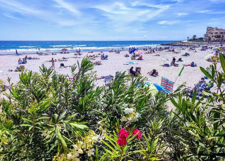 Återförsäljning - Hus - Orihuela Costa - La Zenia