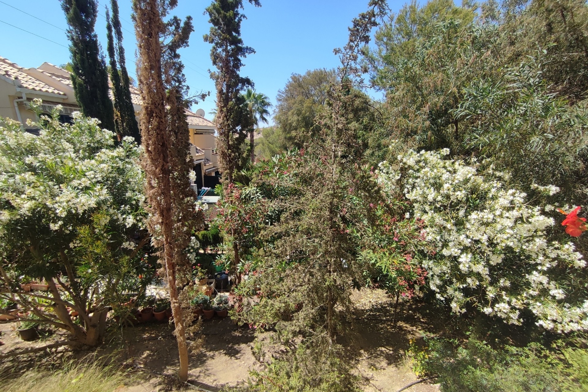 Återförsäljning - Lägenhet / lägenhet - Campoamor - Costa Blanca