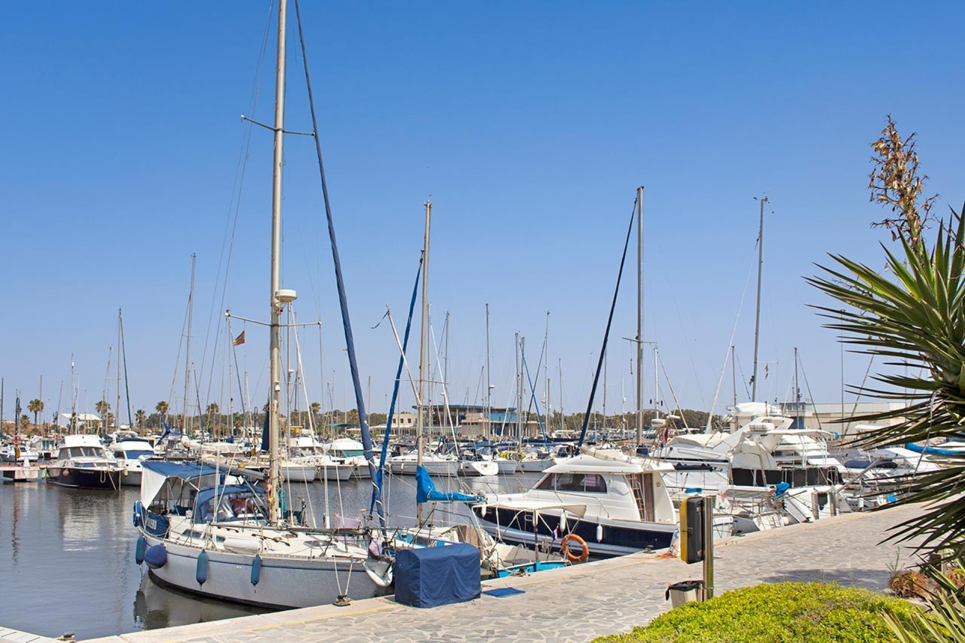 Återförsäljning - Lägenhet / lägenhet - Guardamar del Segura - Costa Blanca