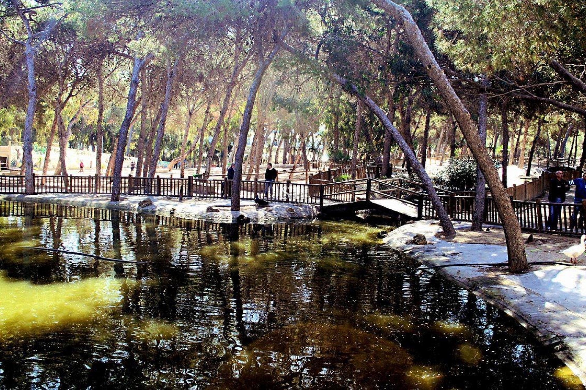 Återförsäljning - Lägenhet / lägenhet - Guardamar del Segura - Guardamar Del Segura