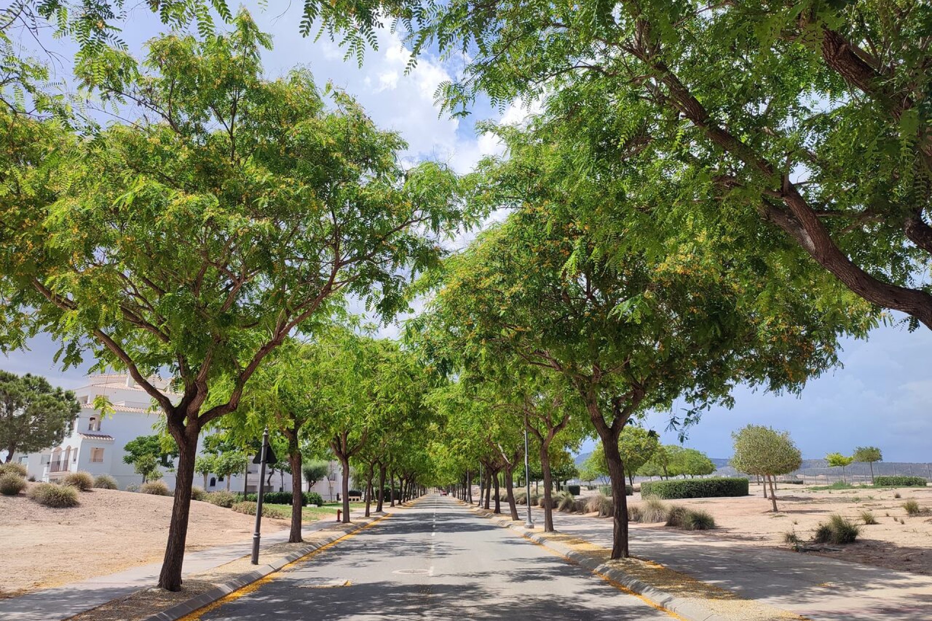 Återförsäljning - Lägenhet / lägenhet - Hacienda Riquelme Golf Resort - Inland