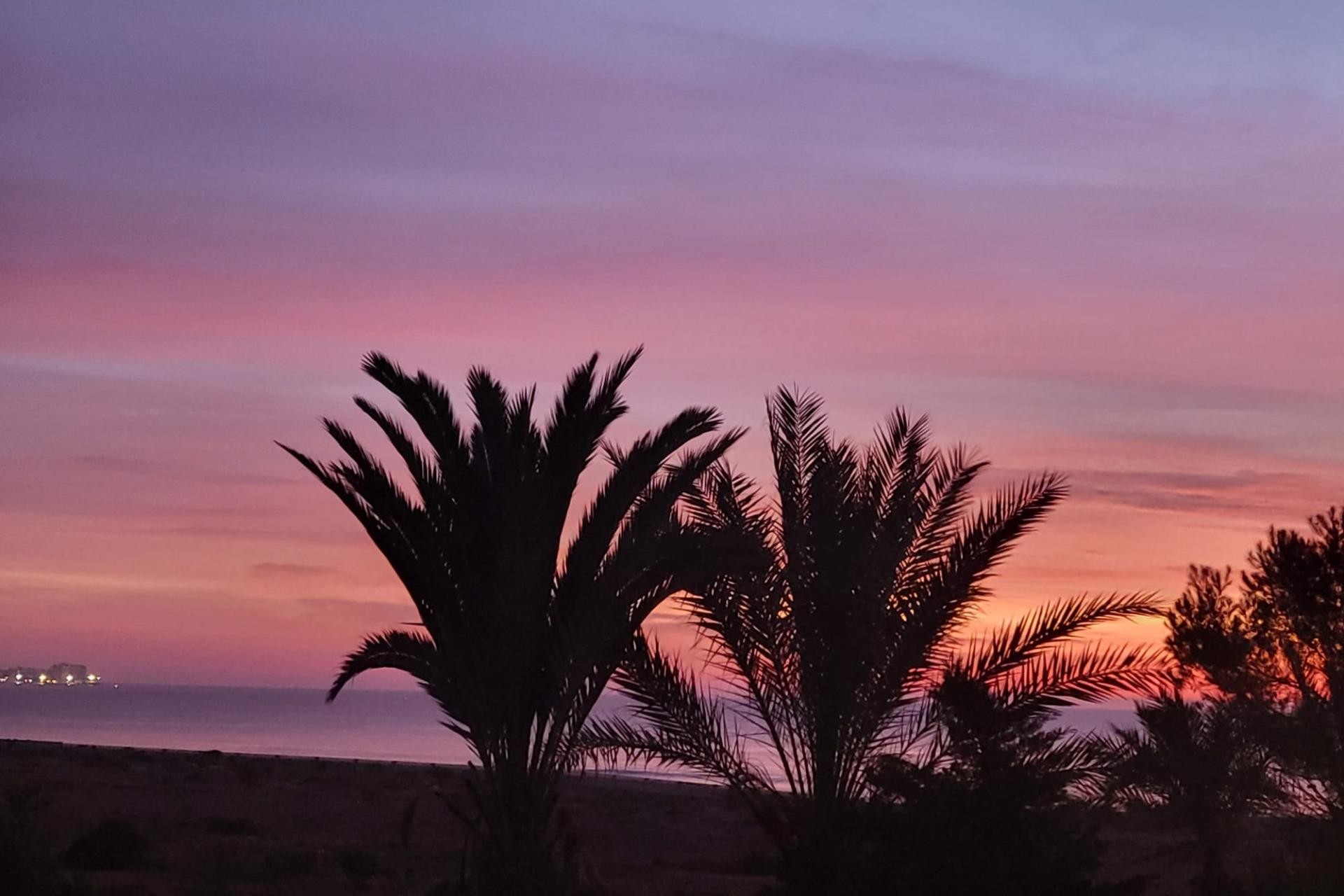 Återförsäljning - Lägenhet / lägenhet - Orihuela Costa - Campoamor