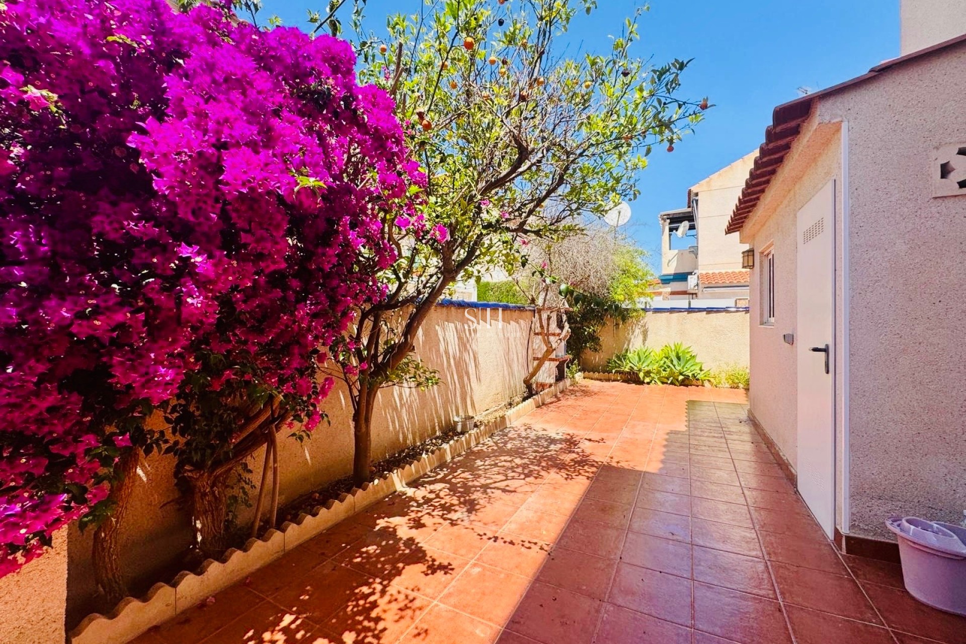 Återförsäljning - Lägenhet / lägenhet - Orihuela Costa - Playa Flamenca