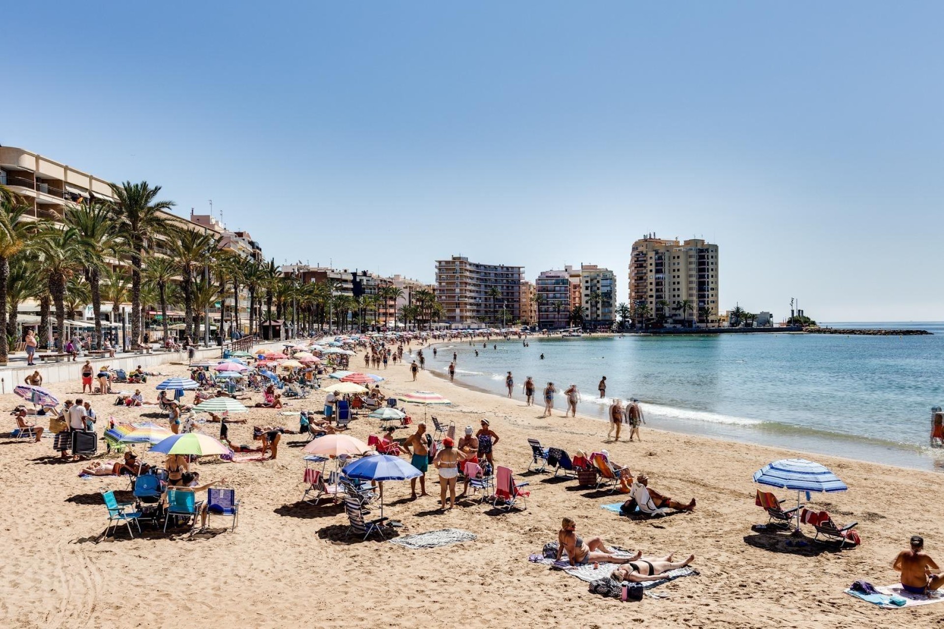 Återförsäljning - Lägenhet / lägenhet - Torrevieja - Centro