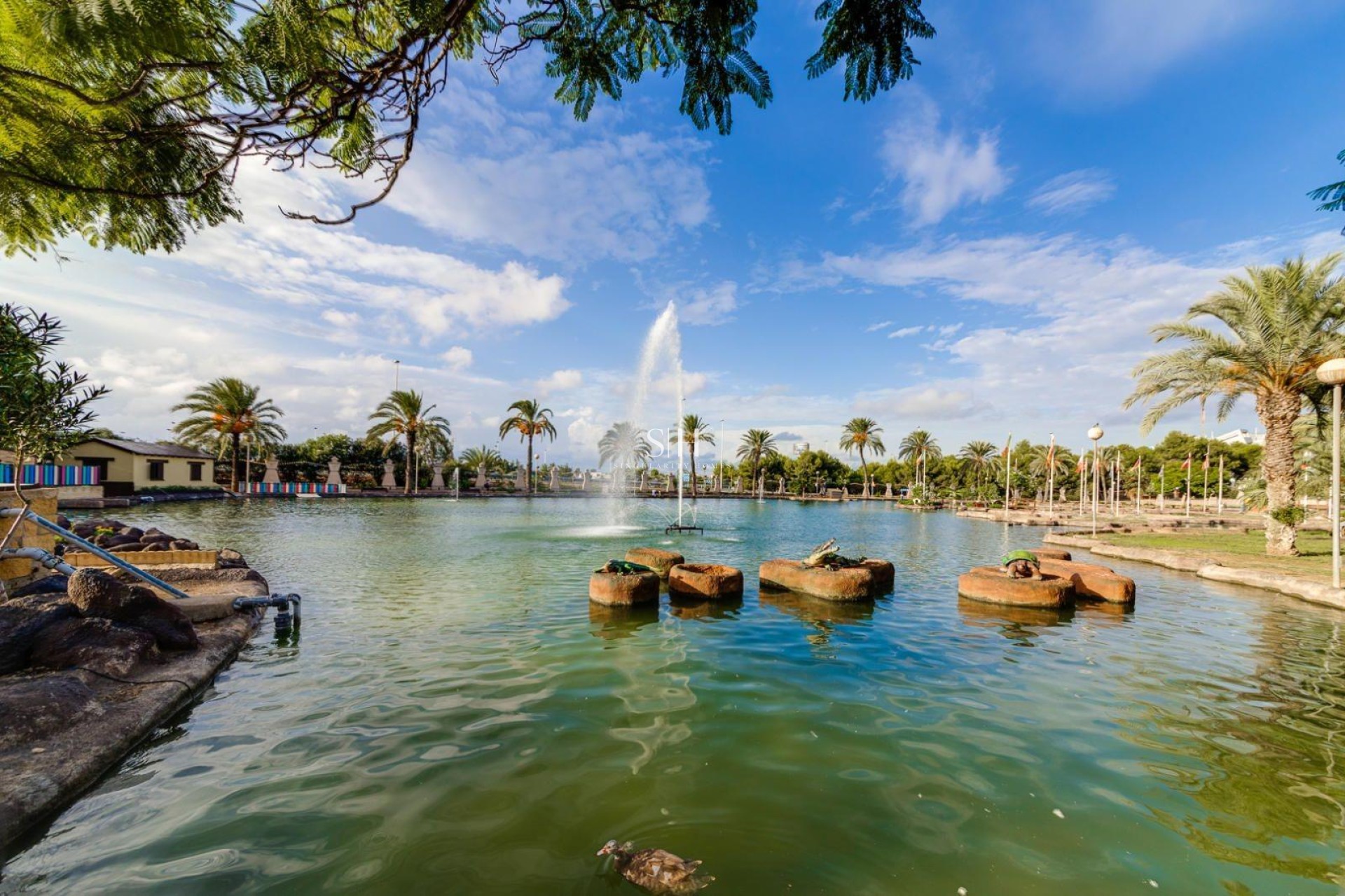 Återförsäljning - Lägenhet / lägenhet - Torrevieja - Centro