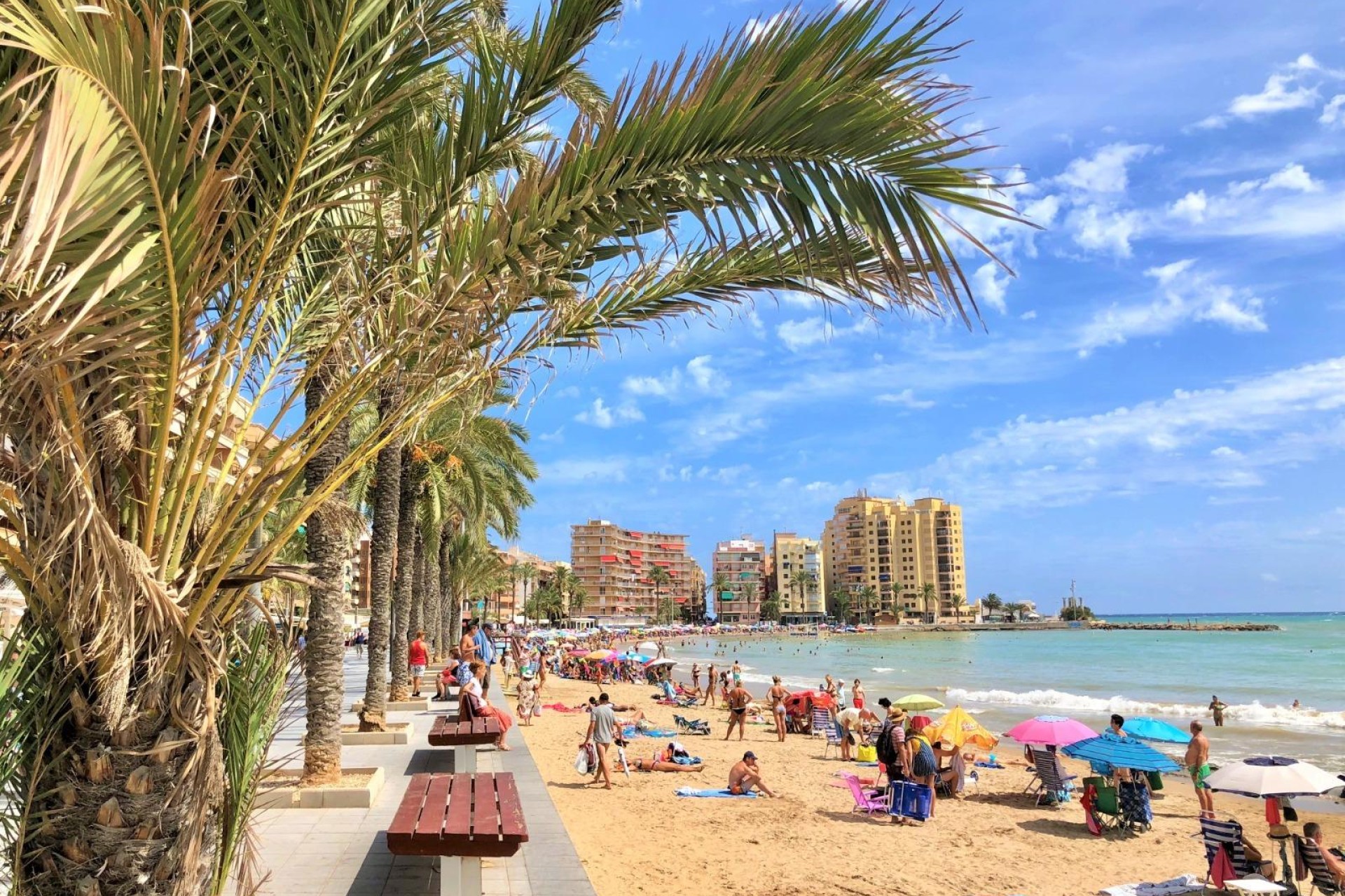 Återförsäljning - Lägenhet / lägenhet - Torrevieja - Centro