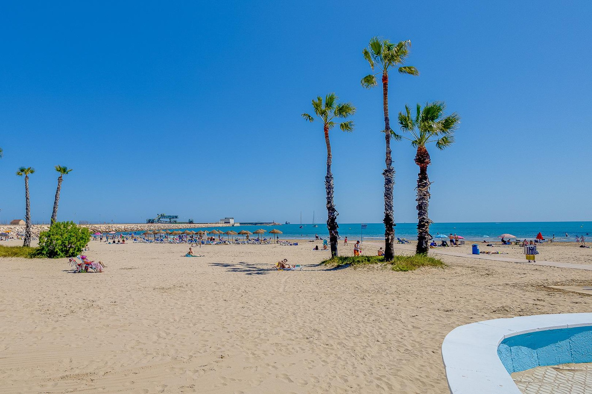 Återförsäljning - Lägenhet / lägenhet - Torrevieja - Costa Blanca