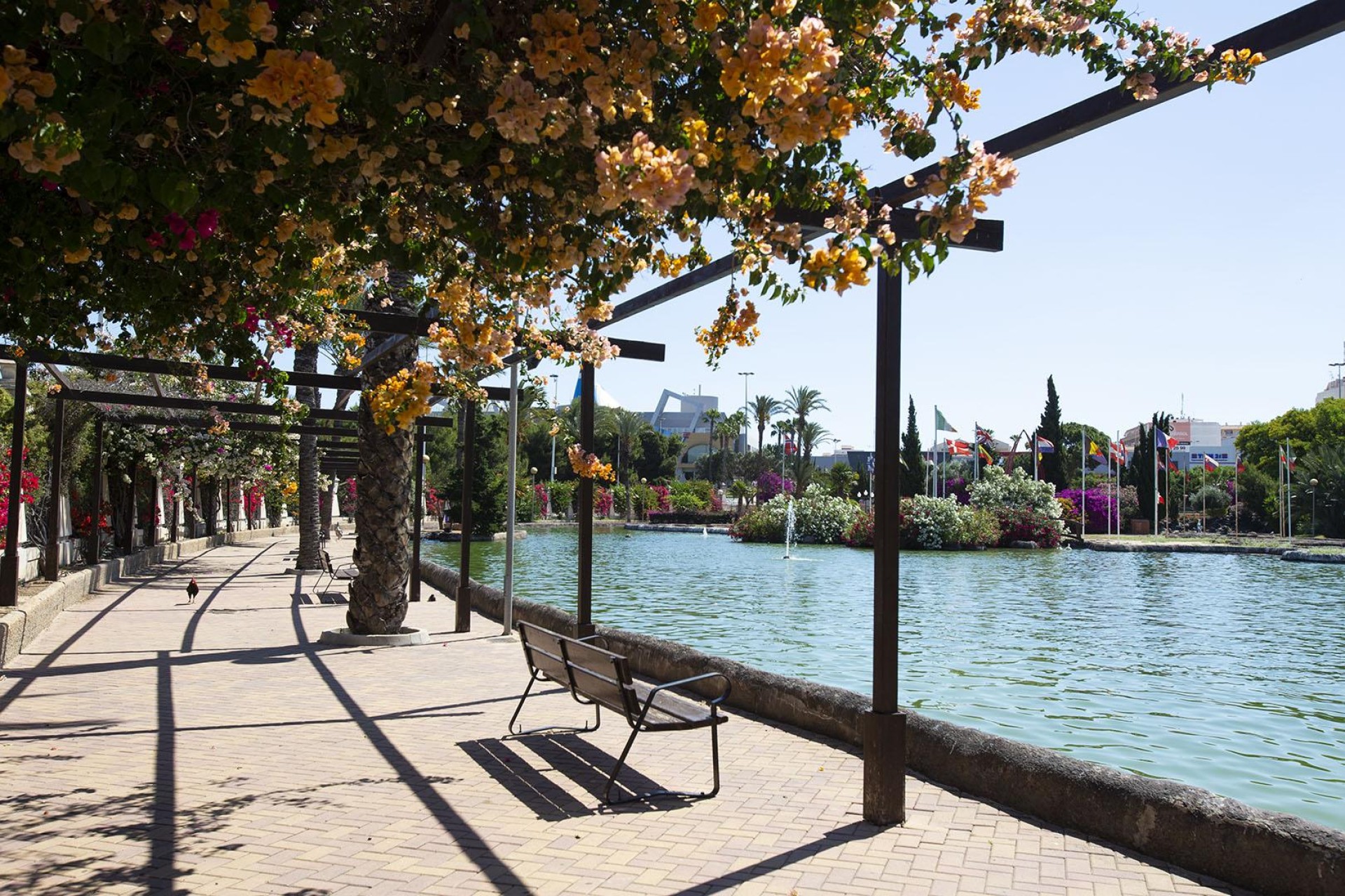 Återförsäljning - Lägenhet / lägenhet - Torrevieja - Costa Blanca