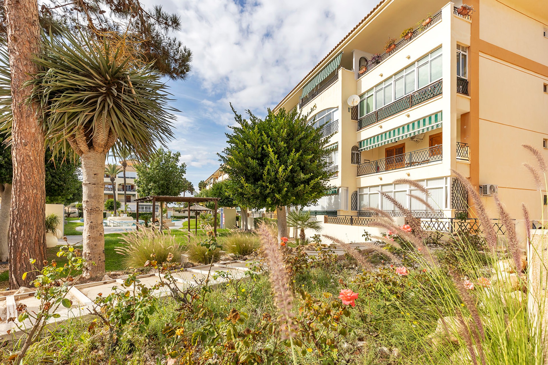 Återförsäljning - Lägenhet / lägenhet - Torrevieja - Costa Blanca