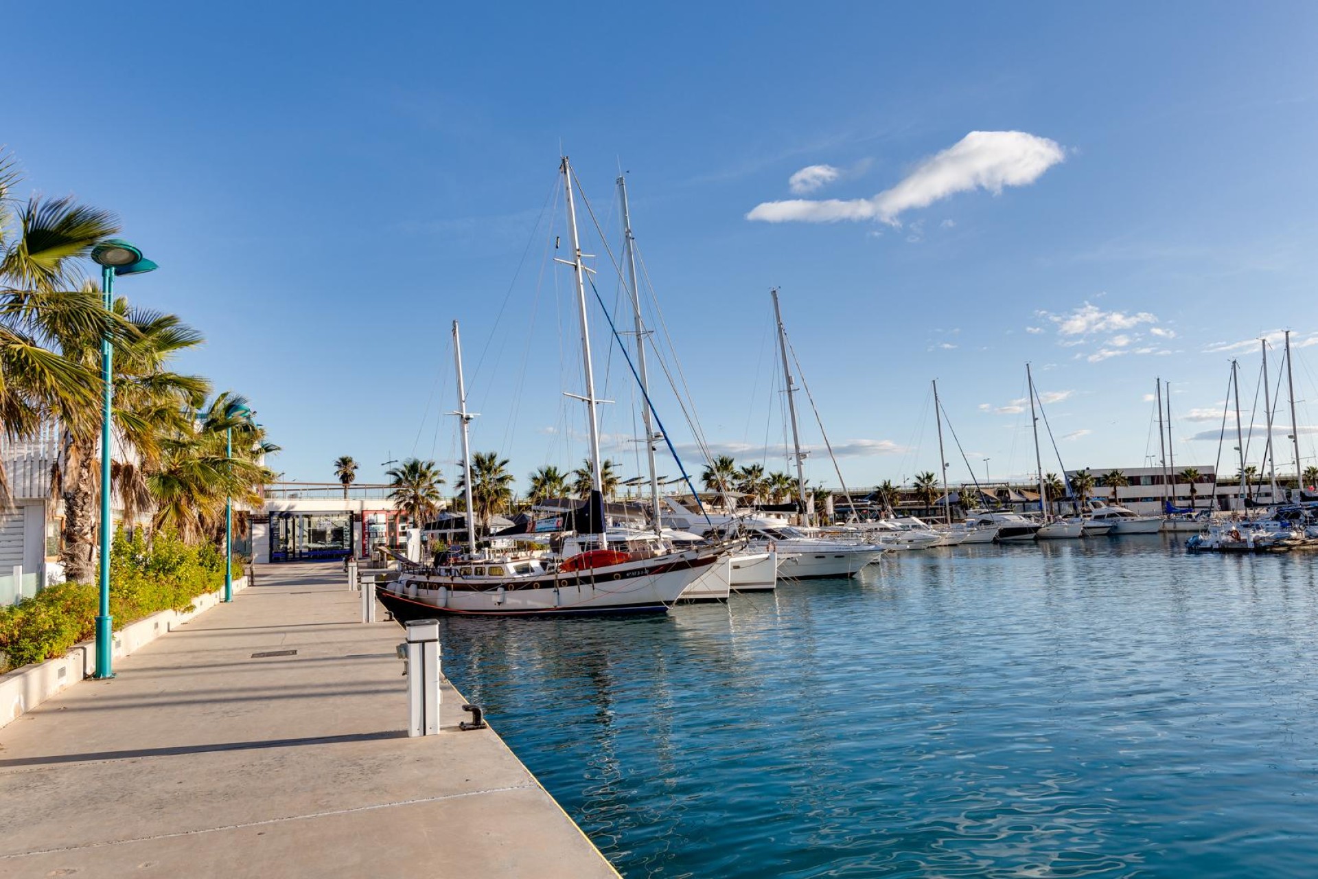 Återförsäljning - Lägenhet / lägenhet - Torrevieja - Costa Blanca