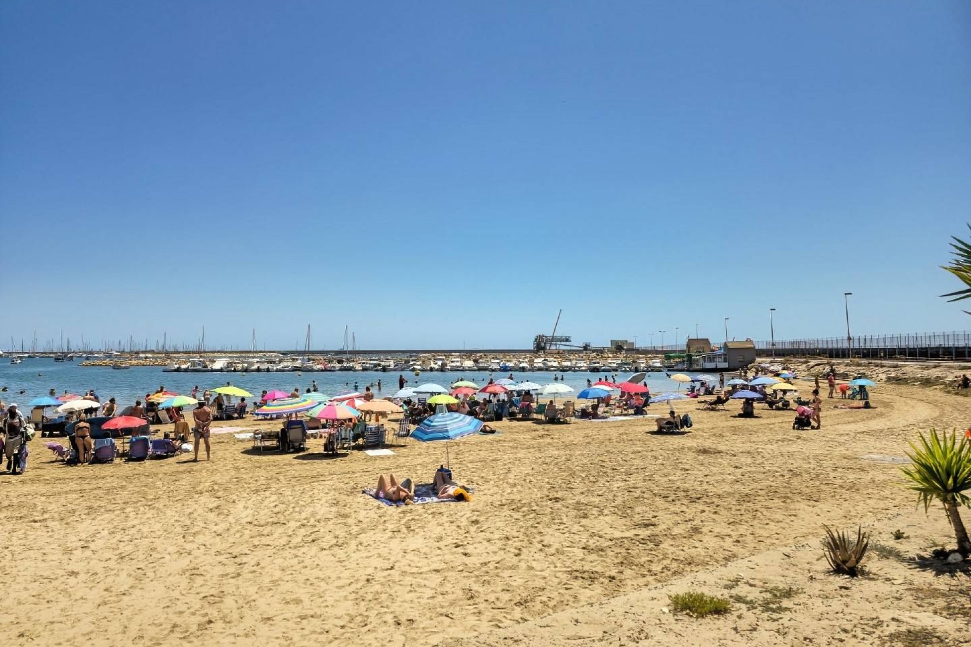 Återförsäljning - Lägenhet / lägenhet - Torrevieja - Costa Blanca