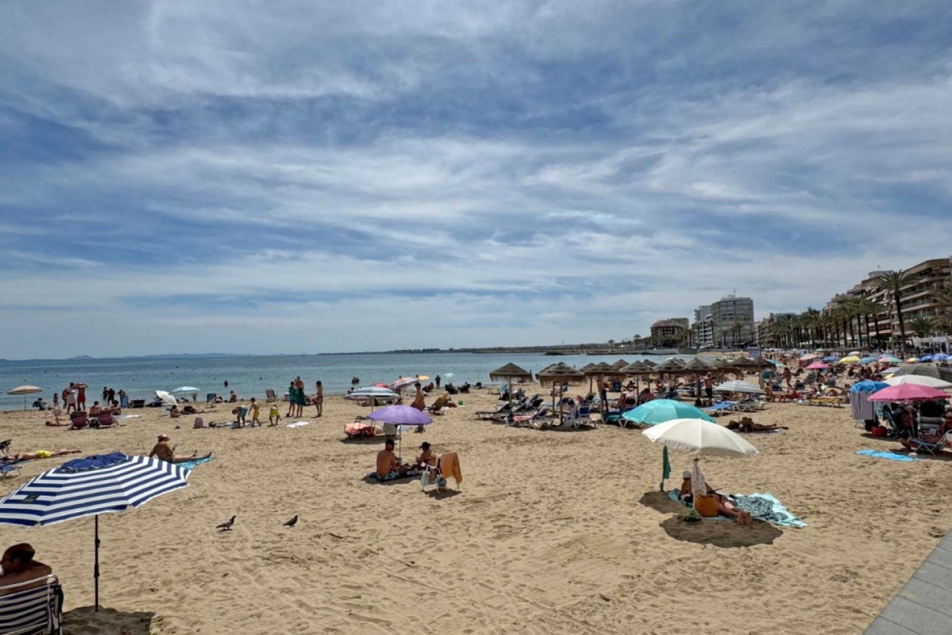 Återförsäljning - Lägenhet / lägenhet - Torrevieja - Costa Blanca