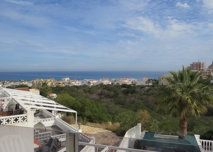 Återförsäljning - Lägenhet / lägenhet - Torrevieja - Costa Blanca