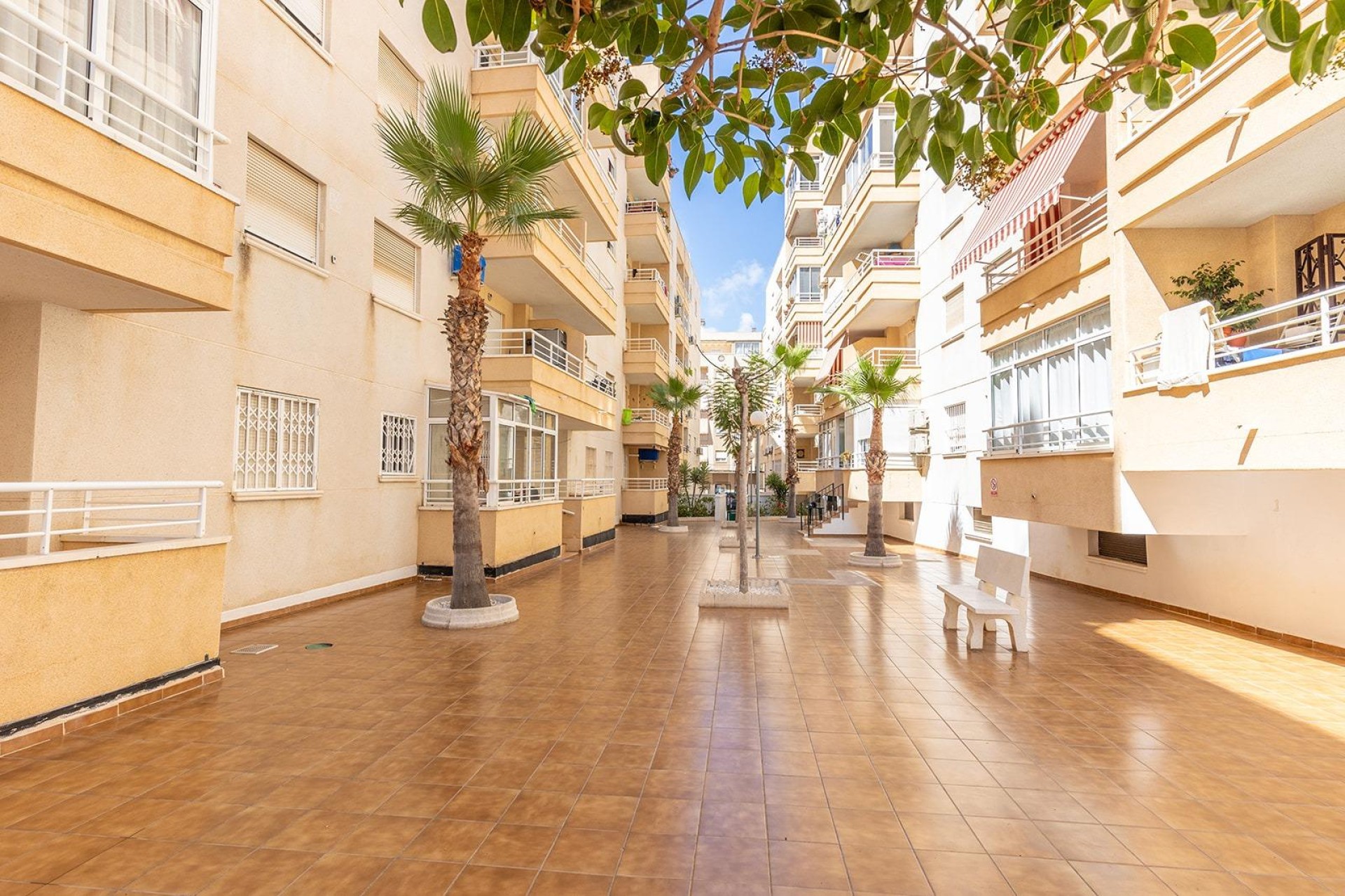 Återförsäljning - Lägenhet / lägenhet - Torrevieja - Estacion De Autobuses