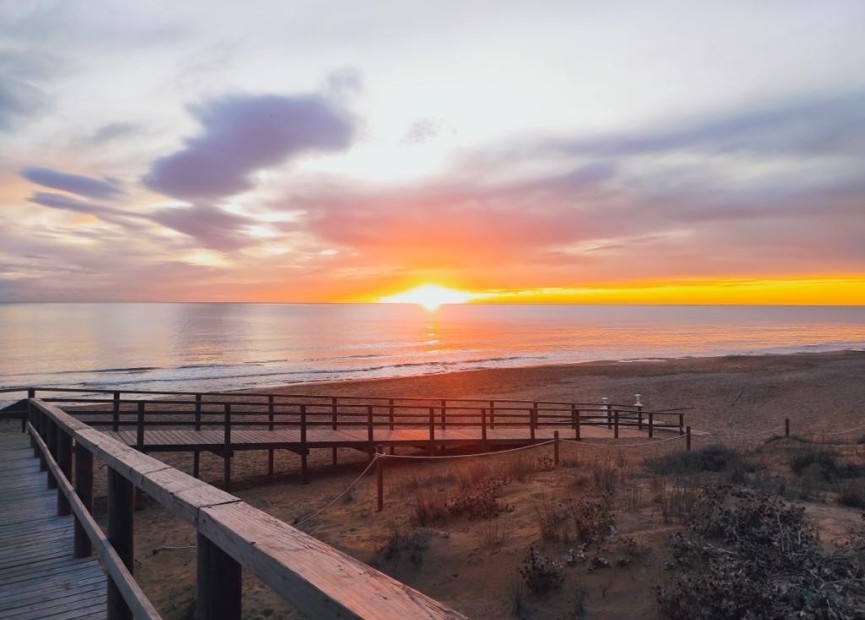 Återförsäljning - Lägenhet / lägenhet - Torrevieja - La Mata