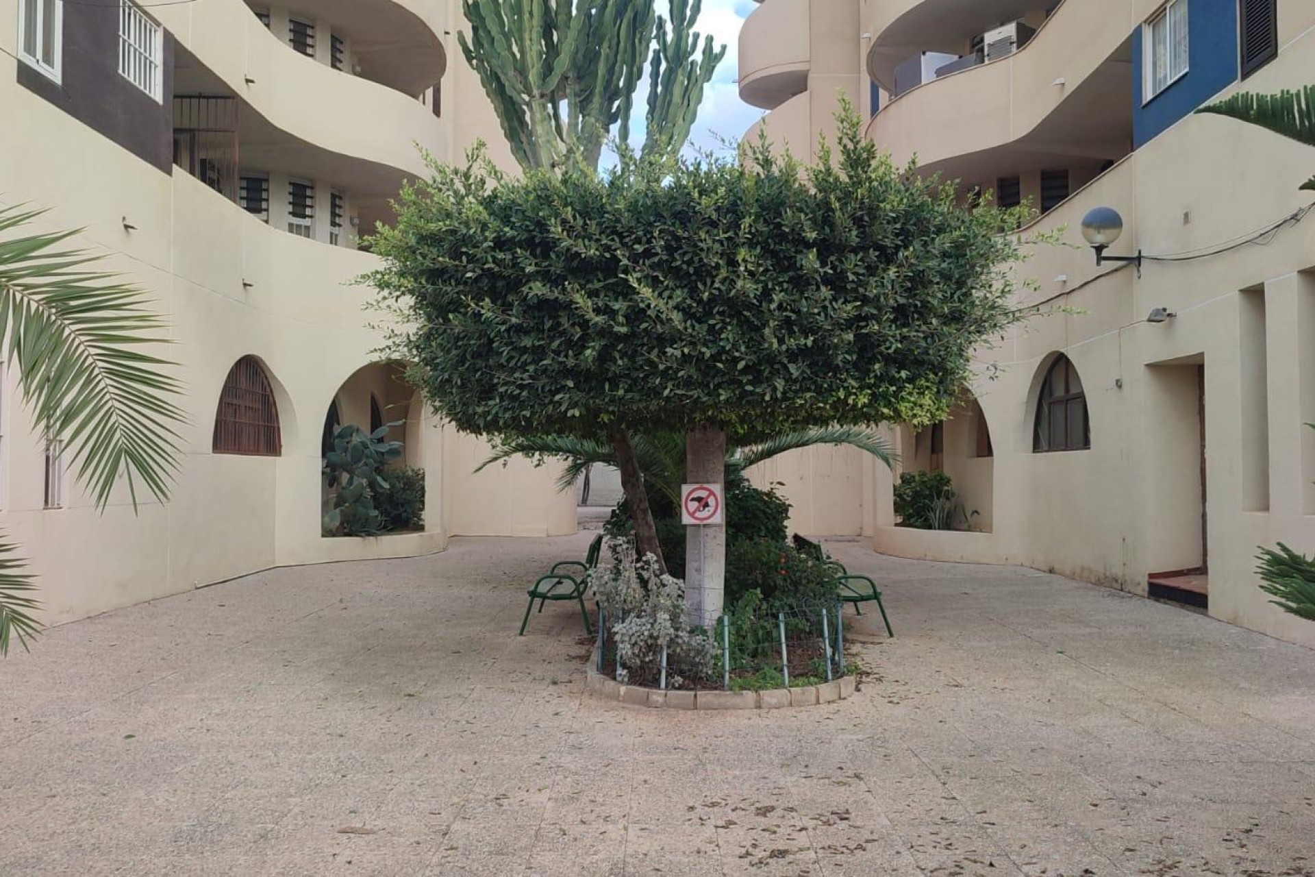 Återförsäljning - Lägenhet / lägenhet - Torrevieja - La veleta