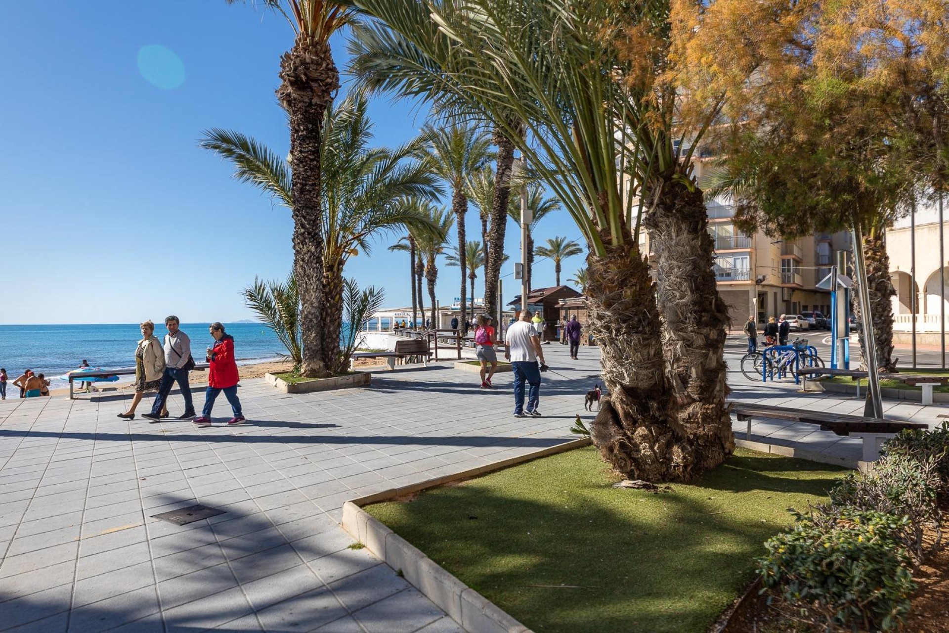 Återförsäljning - Lägenhet / lägenhet - Torrevieja - Playa del Cura