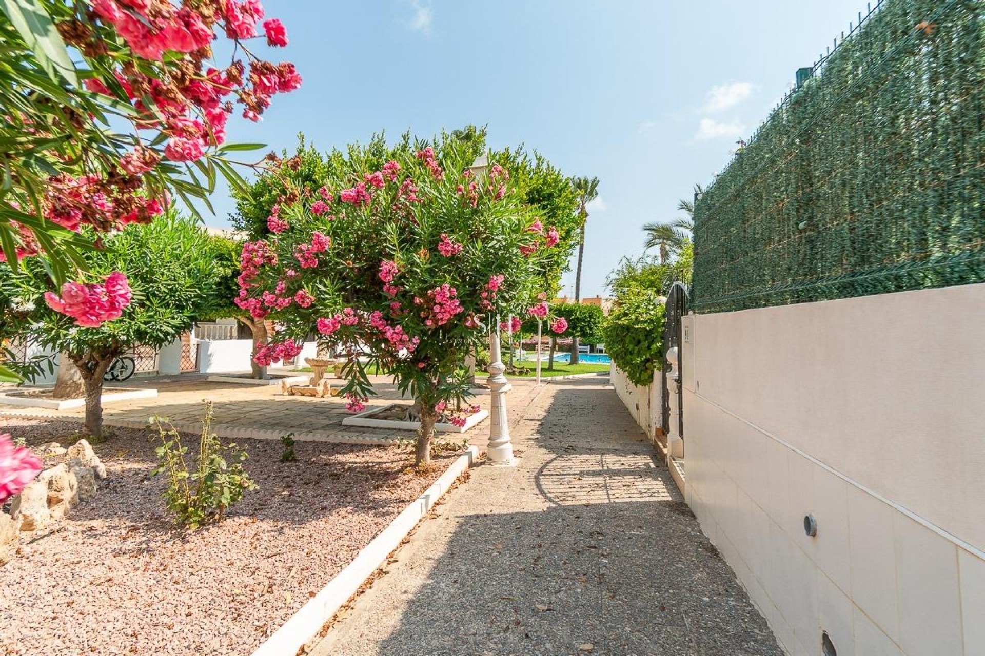 Återförsäljning - Lägenhet / lägenhet - Torrevieja - Torreblanca