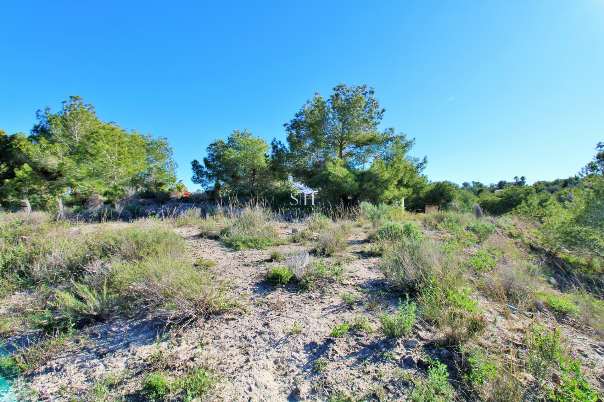 Återförsäljning - Plot - San Miguel de Salinas