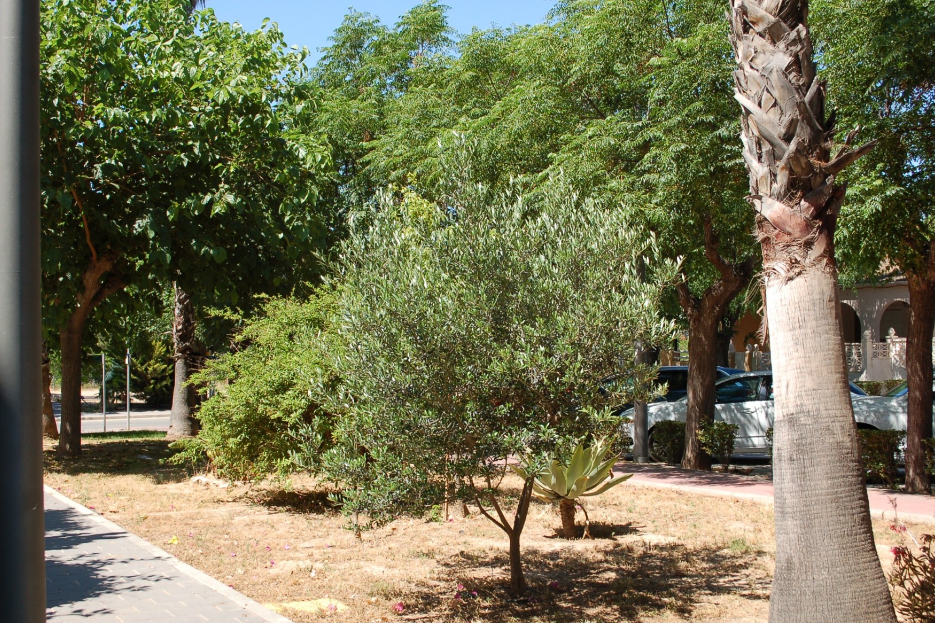 Återförsäljning - Town House - Mil Palmeras - Costa Blanca