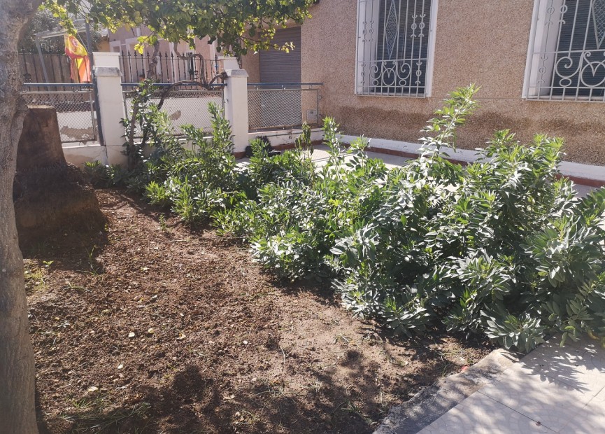 Återförsäljning - Town House - Montesinos - Costa Blanca