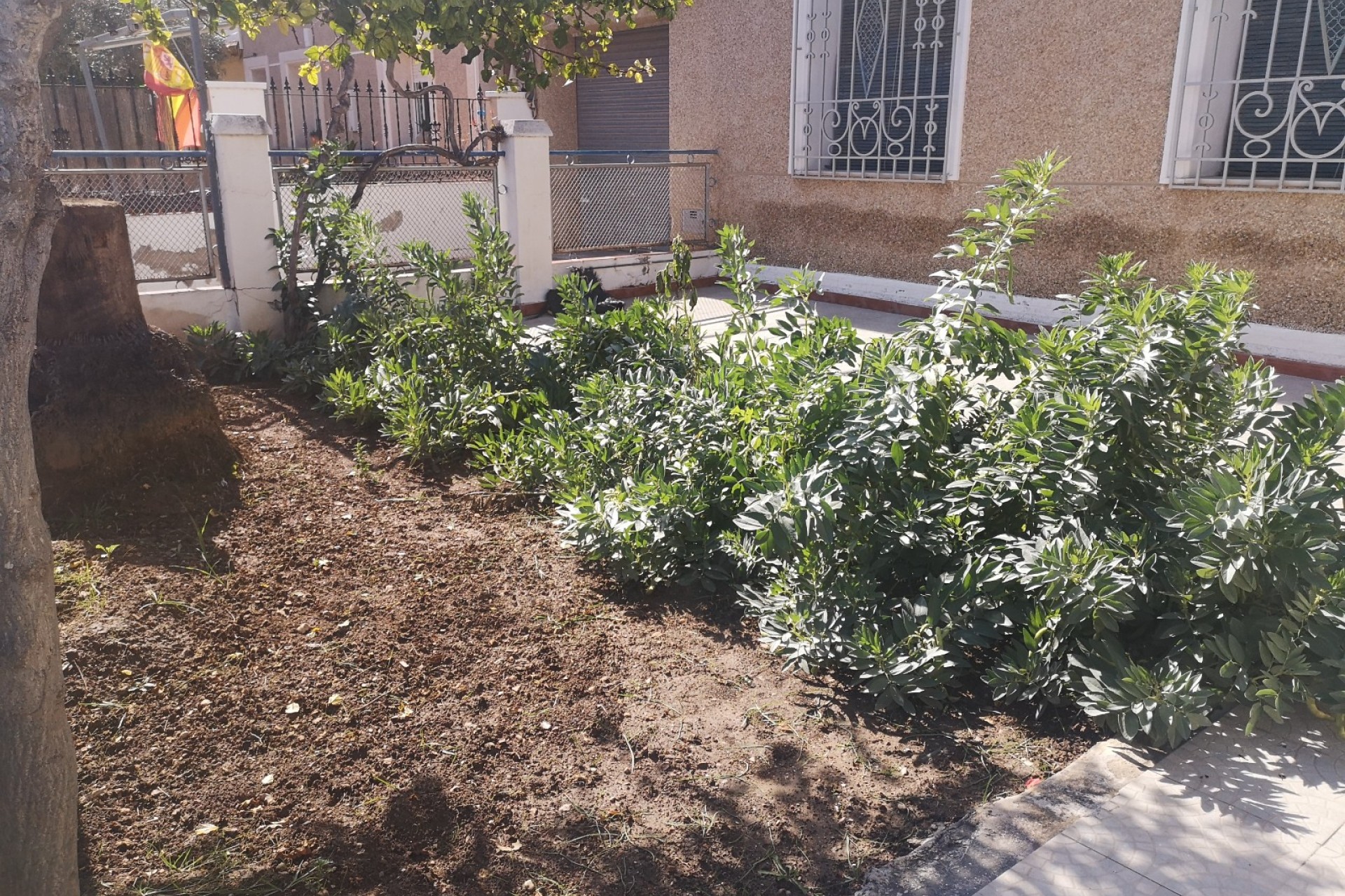 Återförsäljning - Town House - Montesinos - Costa Blanca