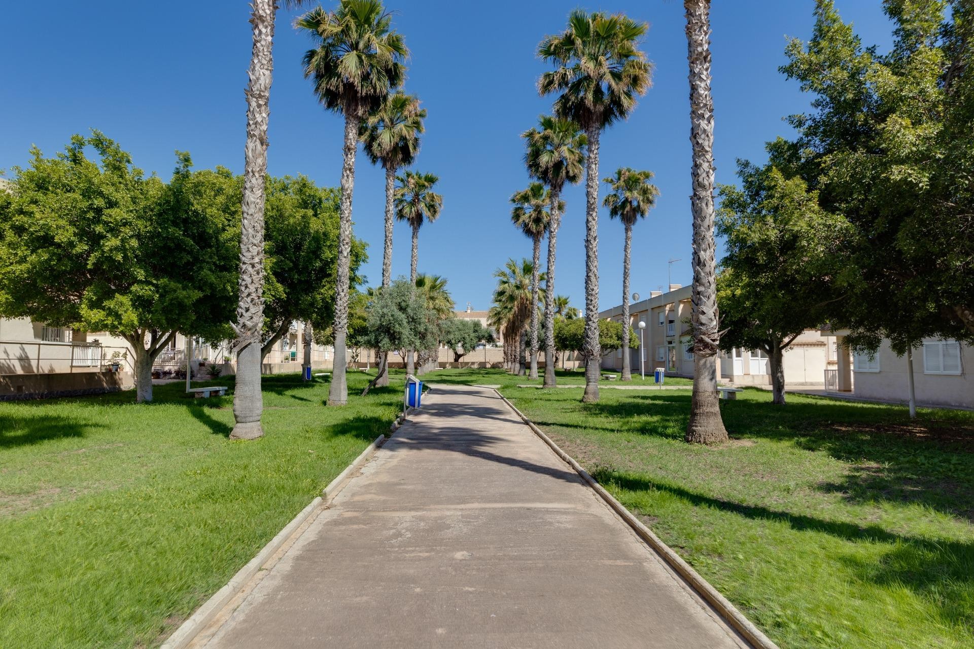 Återförsäljning - Town House - Torrevieja - Aguas Nuevas 2