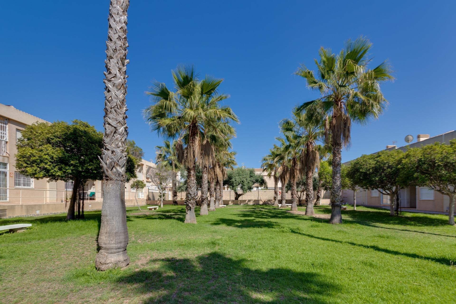 Återförsäljning - Town House - Torrevieja - Aguas Nuevas 2