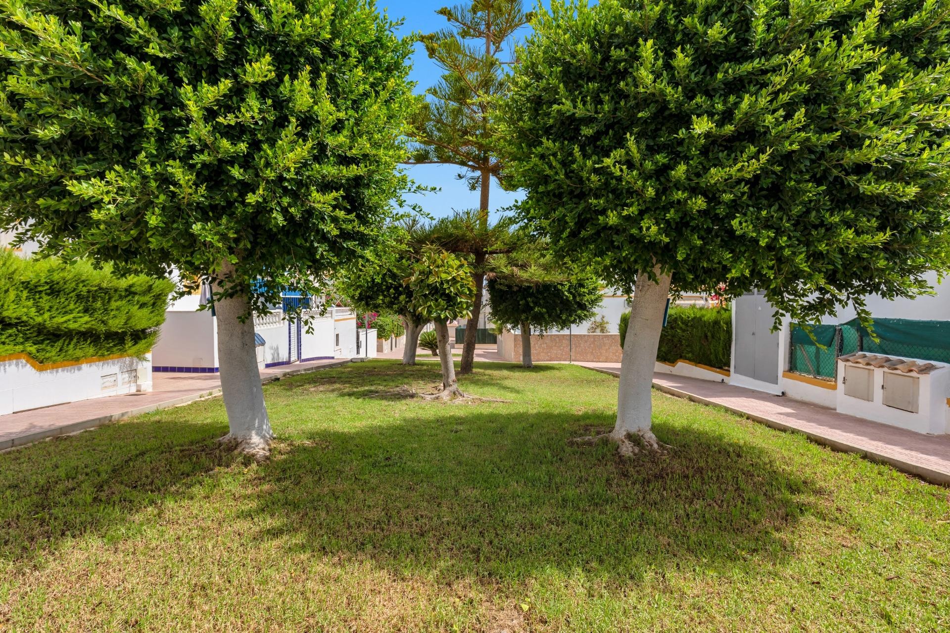 Återförsäljning - Town House - Torrevieja - Los altos