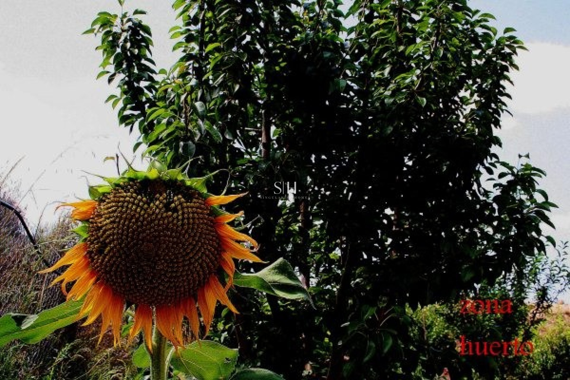 Återförsäljning - Villa - Gea Y Truyols