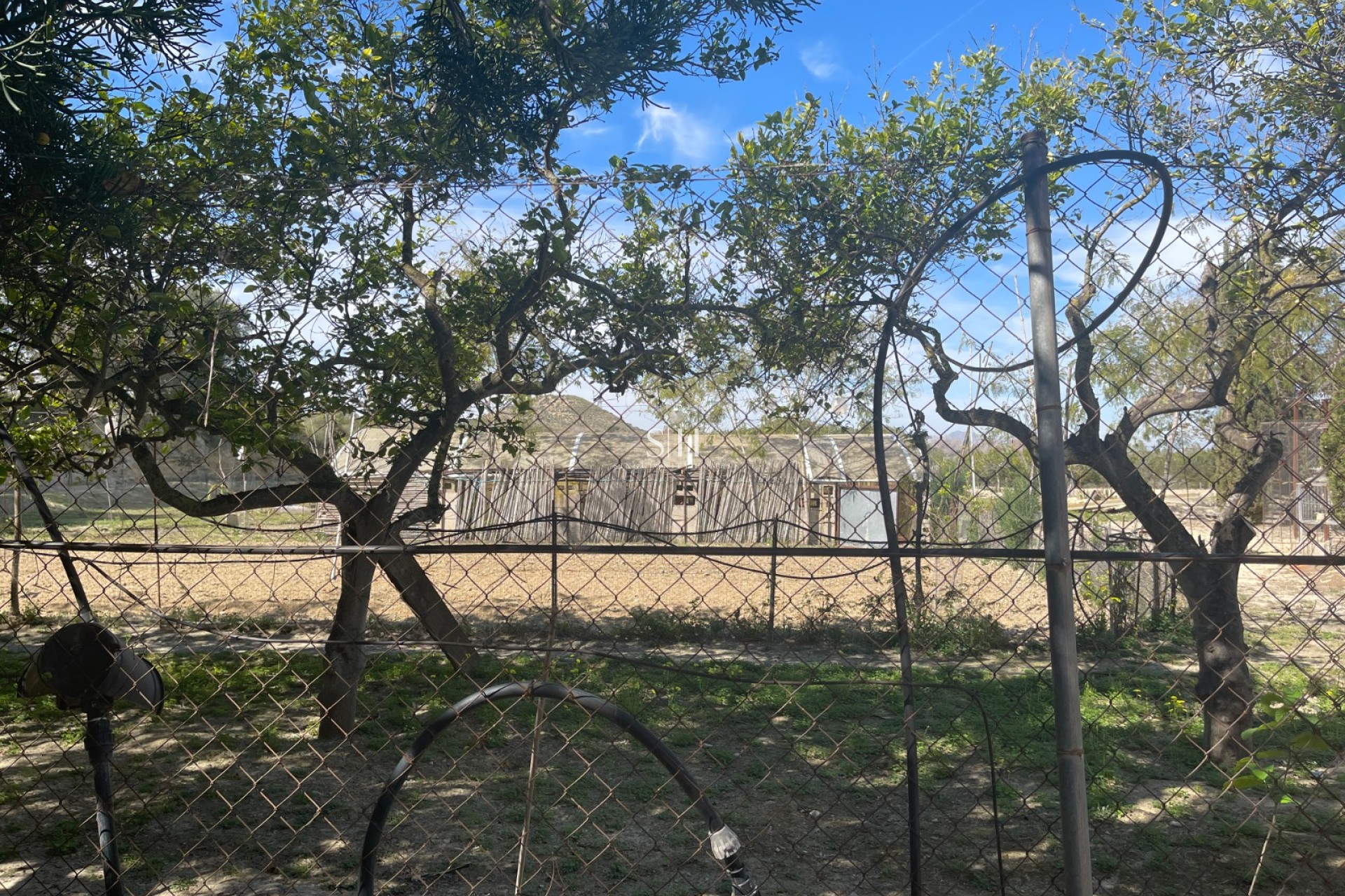 Återförsäljning - Villa - Guardamar del Segura - Costa Blanca