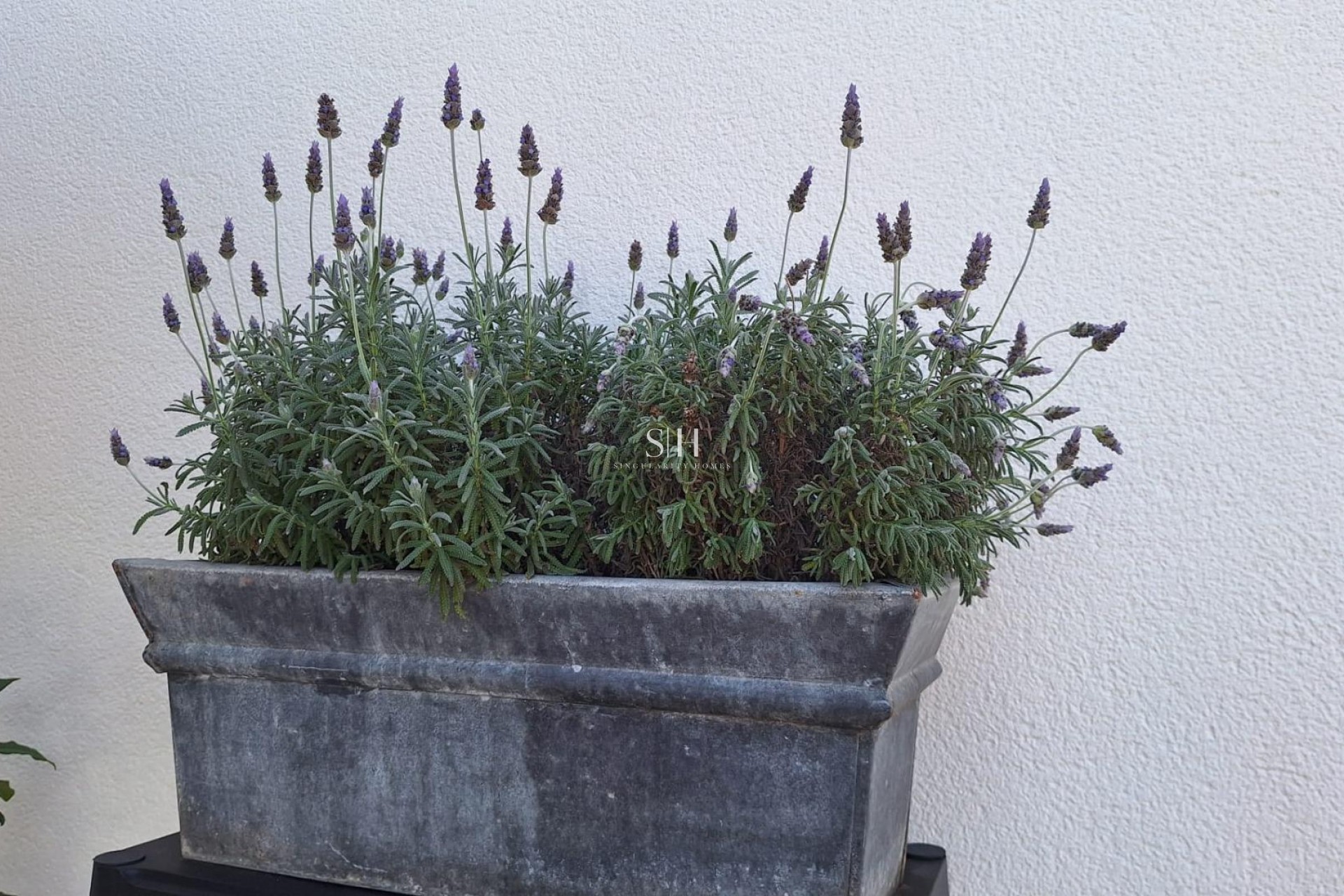 Återförsäljning - Villa - Torrevieja - Los Balcones - Los Altos del Edén