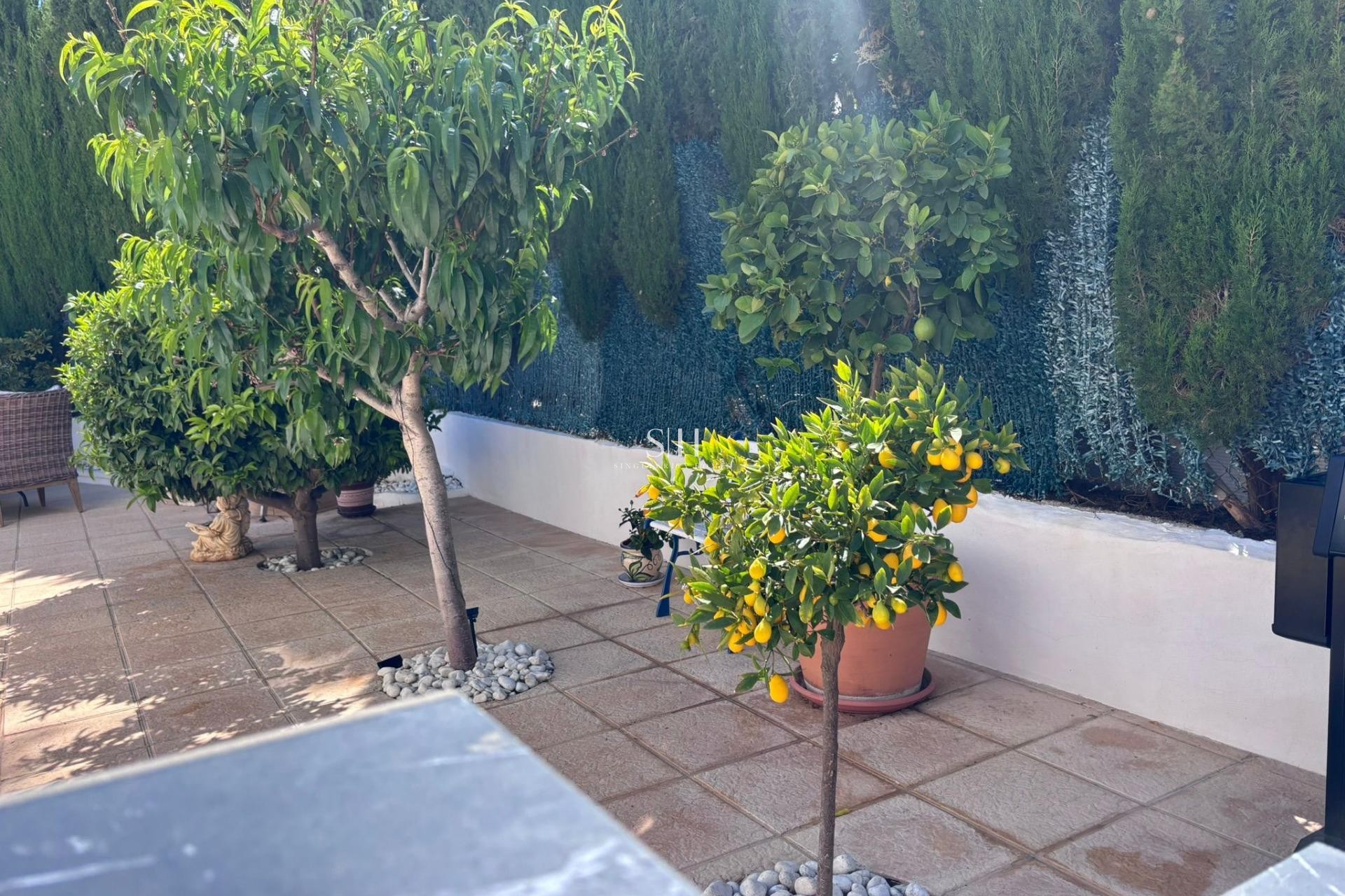 Återförsäljning - Villa - Torrevieja - Los balcones