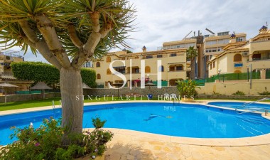 Bungalow - Wiederverkauf - Torrevieja - 41332