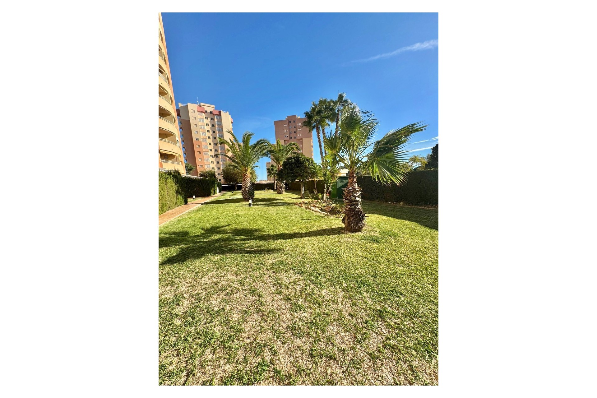 Herverkoop - Appartement / flat - Alicante - Campoamor