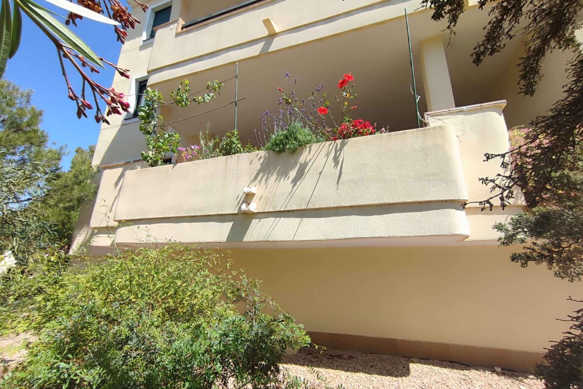 Herverkoop - Appartement / flat - Campoamor - Costa Blanca