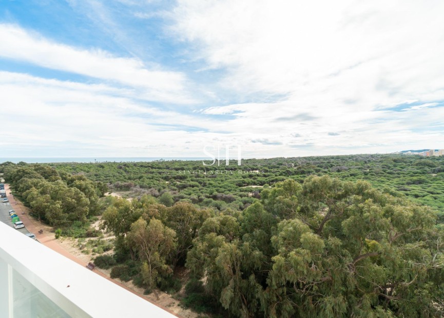 Herverkoop - Appartement / flat - Guardamar del Segura - Guardamar Playa