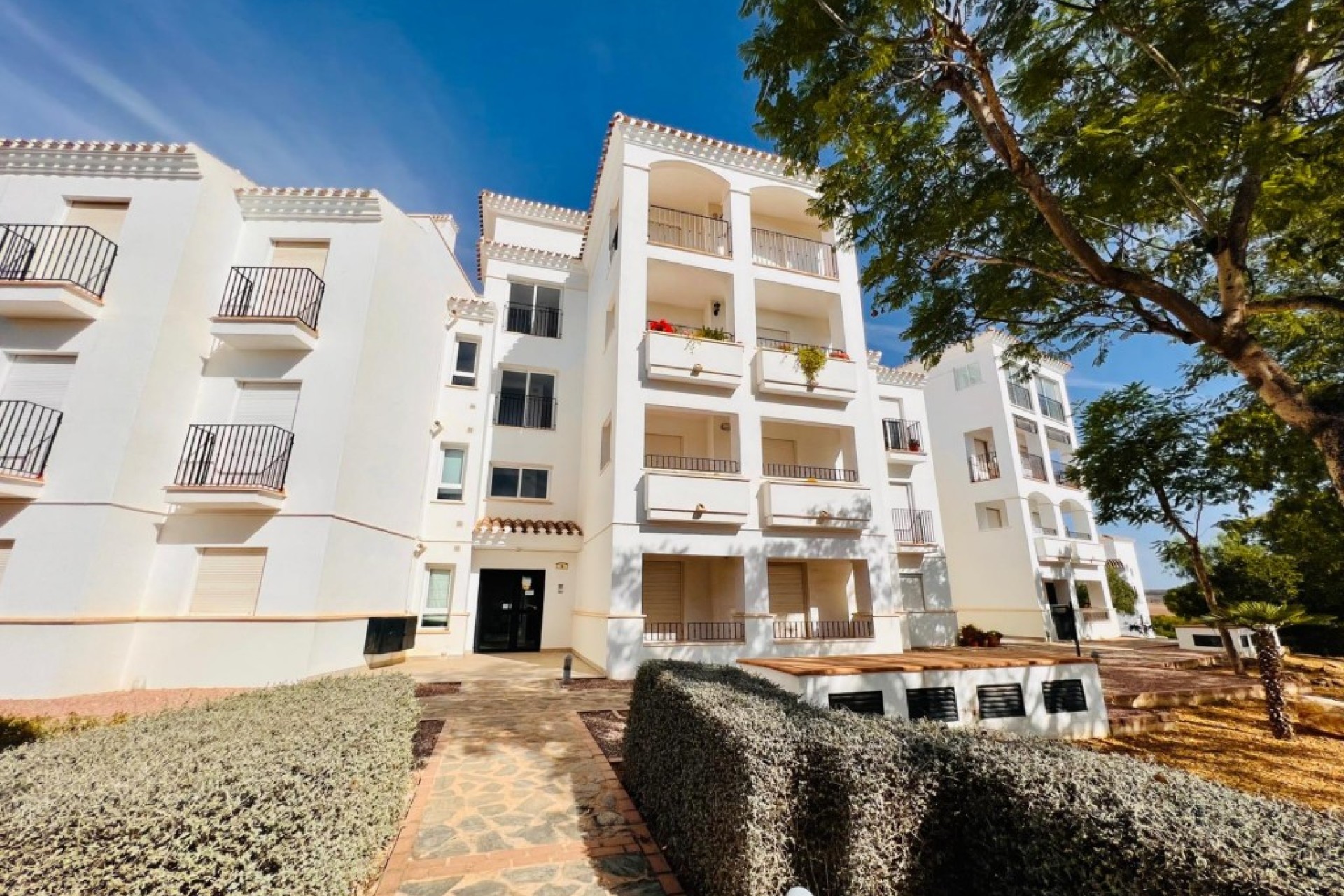 Herverkoop - Appartement / flat - Hacienda Riquelme Golf Resort - Inland