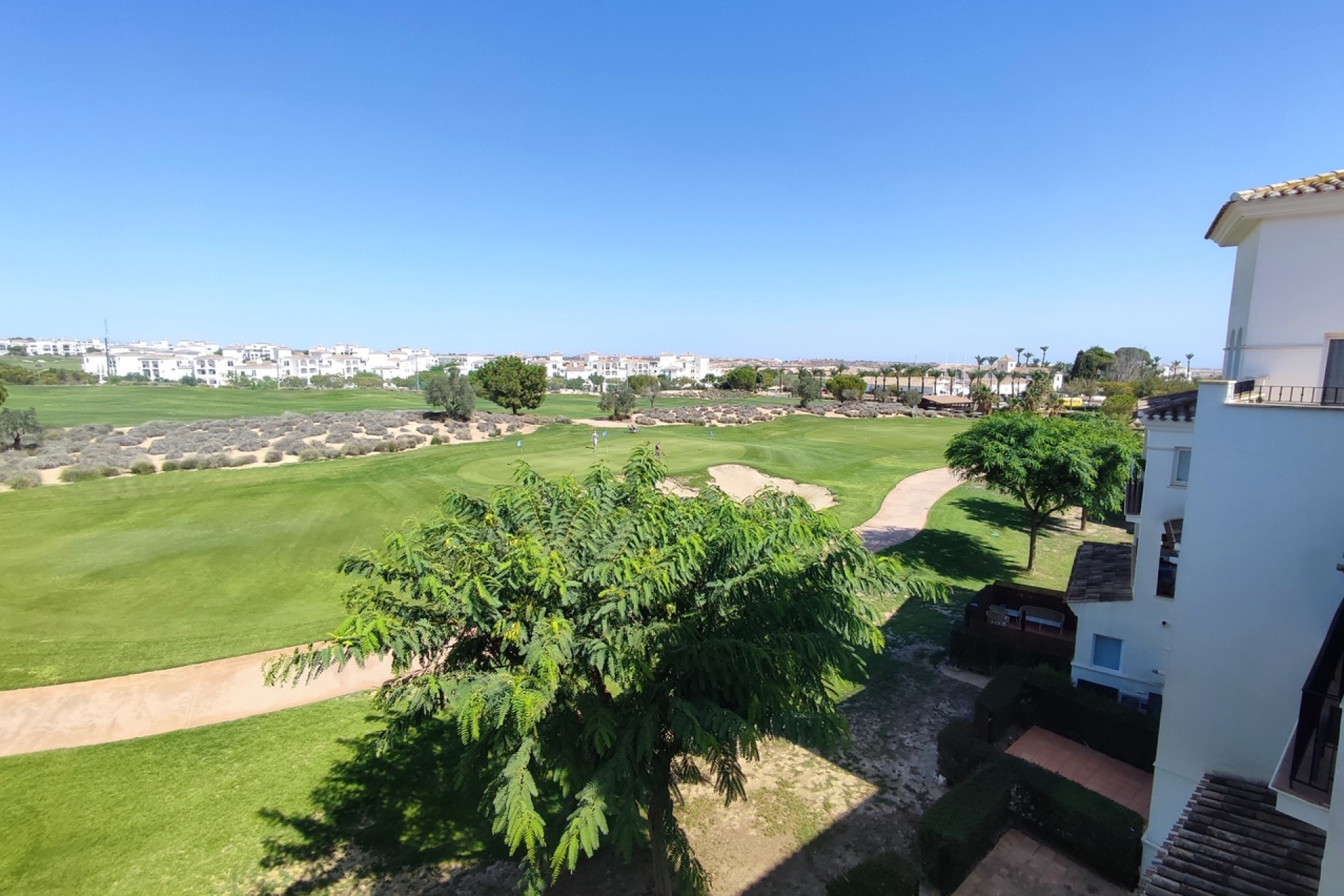 Herverkoop - Appartement / flat - Hacienda Riquelme Golf Resort - Inland