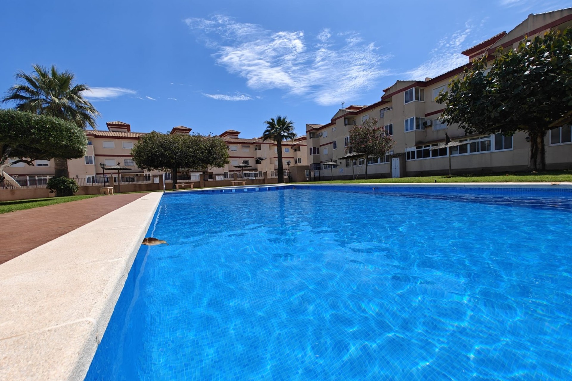 Herverkoop - Appartement / flat - San Pedro del Pinatar - Costa Calida