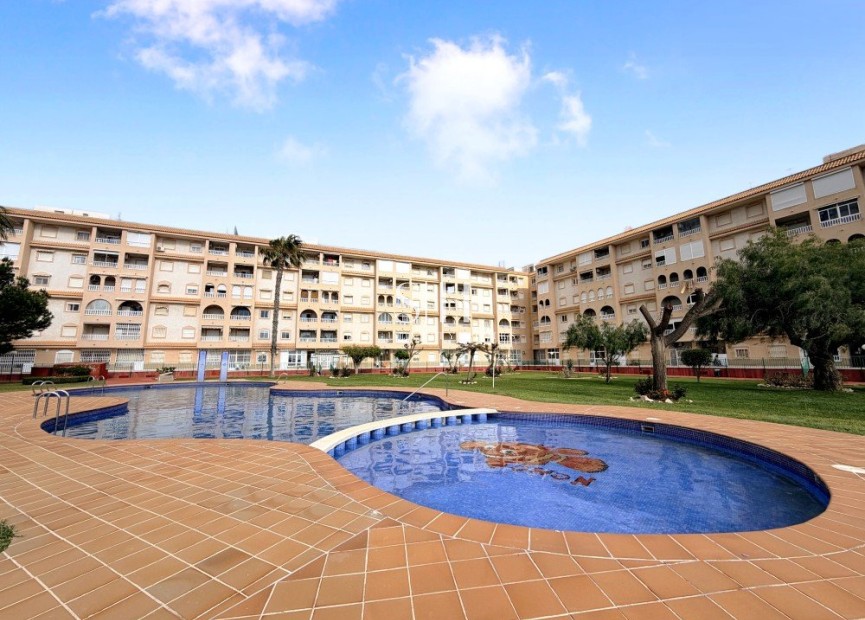 Herverkoop - Appartement / flat - Torrevieja - Costa Blanca